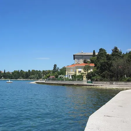 Ira Zadar