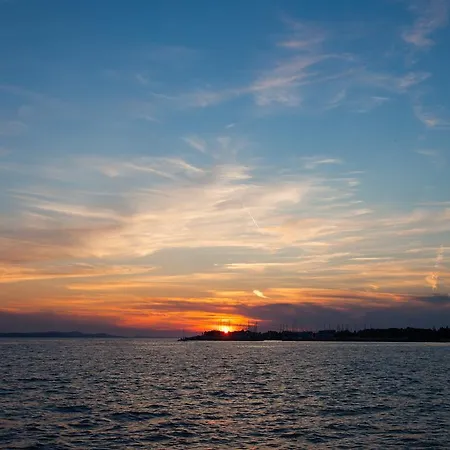 Ira Zadar
