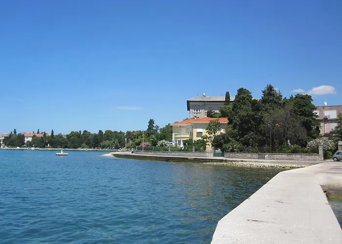 Ira Zadar